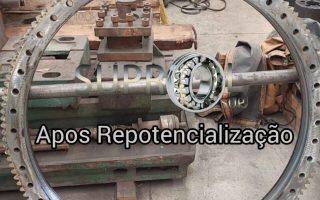 serviço de Repotêncialização